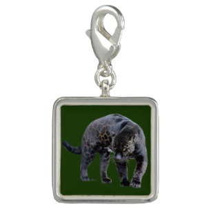 Jaguar Diablo green silver square charm