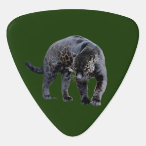 Jaguar Diablo green triangle guitar pick
