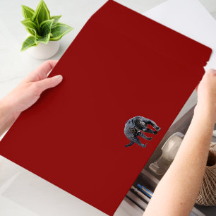 Jaguar Diablo horiz lg shipping envelope mailers