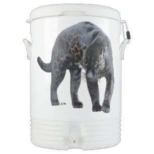 Jaguar Diablo Igloo beverage cooler (10 gallons)