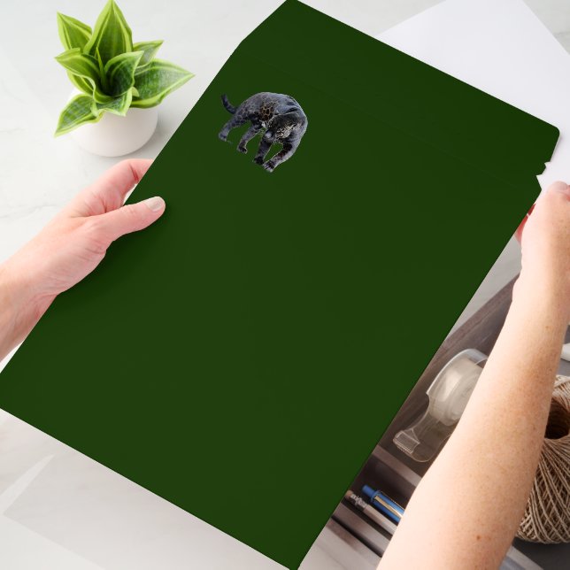 Jaguar Diablo large vert shipping envelope mailers (Desk)