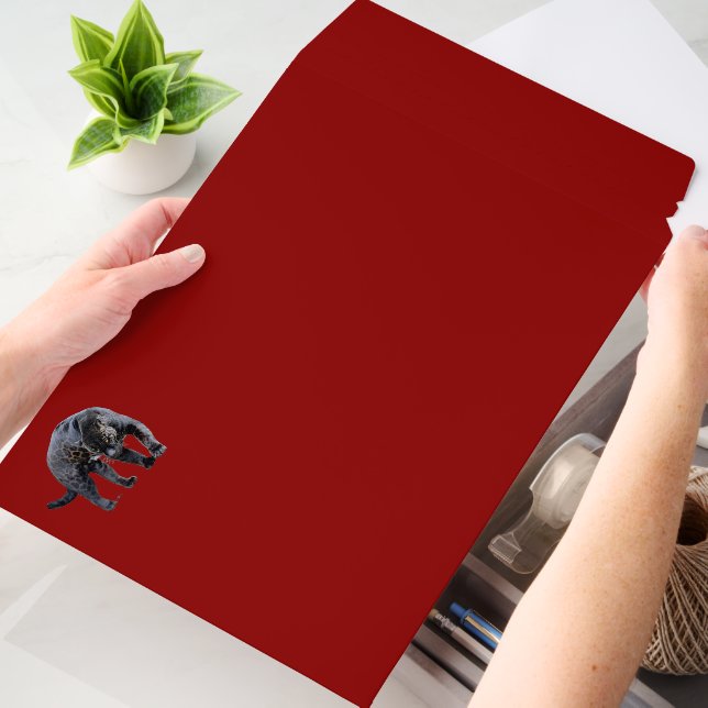 Jaguar Diablo lg horiz shipping envelope mailers (Desk)