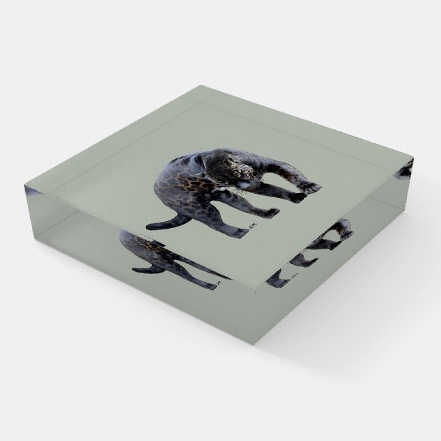 Jaguar Diablo light gray glass square paperweight (Angled)