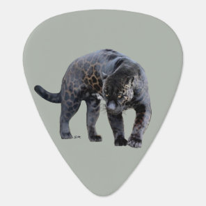 Jaguar Diablo light gray guitar pick