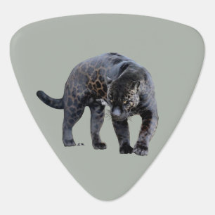 Jaguar Diablo light gray triangle guitar pick