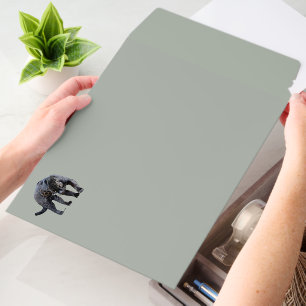 Jaguar Diablo med horiz shipping envelope mailers