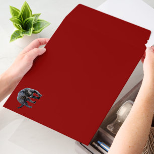 Jaguar Diablo med horiz shipping envelope mailers