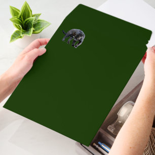 Jaguar Diablo med vert shipping envelope mailers