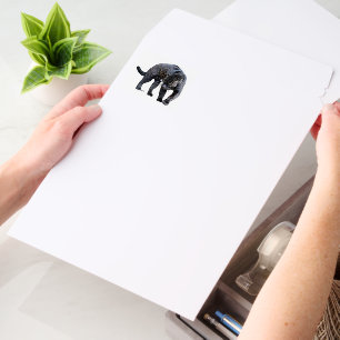 Jaguar Diablo med vert shipping envelope mailers