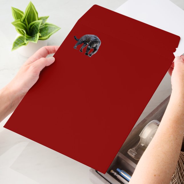 Jaguar Diablo med vert shipping envelope mailers (Desk)