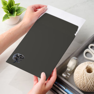 Jaguar Diablo sm horiz shipping envelope mailers