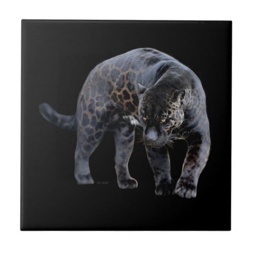 Jaguar Diablo small ceramic tile