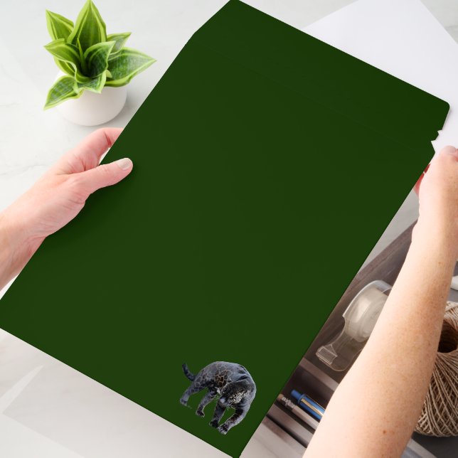 Jaguar Diablo vert large shipping envelope mailers (Desk)