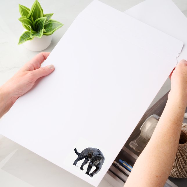 Jaguar Diablo vert large shipping envelope mailers (Desk)