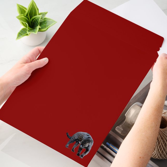 Jaguar Diablo vert large shipping envelope mailers (Desk)