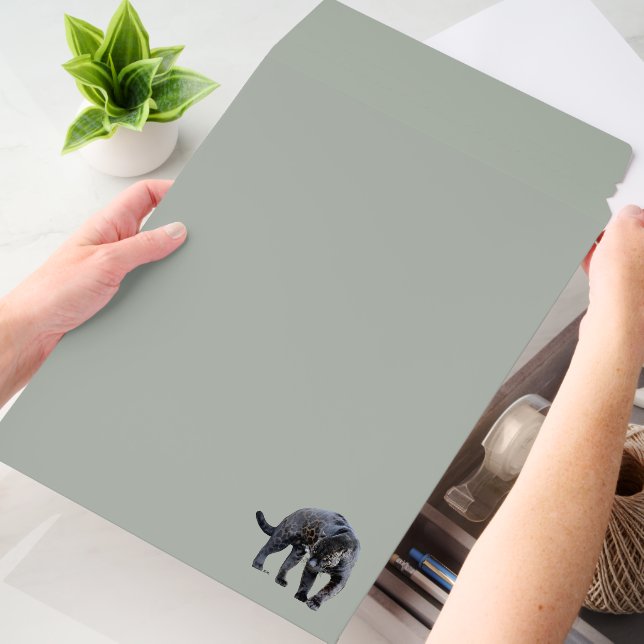 Jaguar Diablo vert large shipping envelope mailers (Desk)