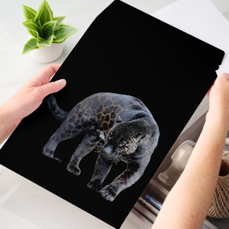 Jaguar Diablo vert lg shipping envelope mailers