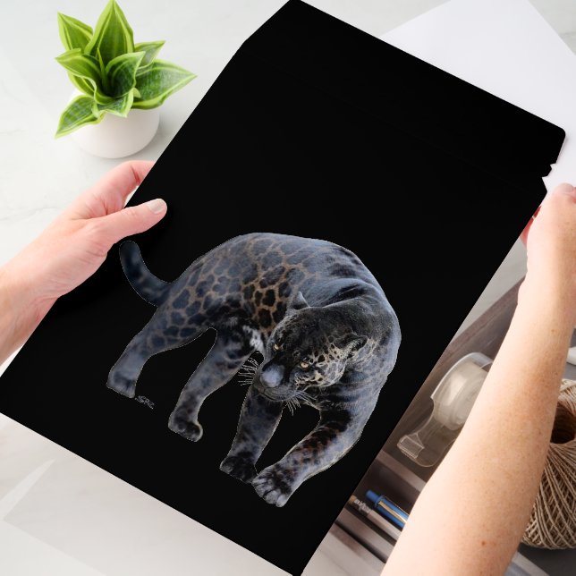 Jaguar Diablo vert lg shipping envelope mailers (Desk)