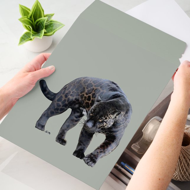 Jaguar Diablo vert lg shipping envelope mailers (Desk)