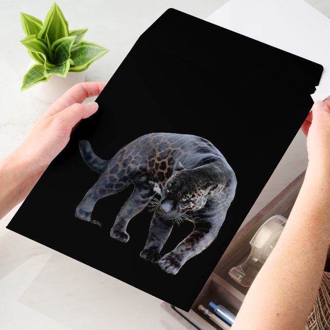 Jaguar Diablo vert med shipping envelope mailers (Desk)