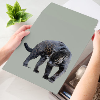 Jaguar Diablo vert med shipping envelope mailers