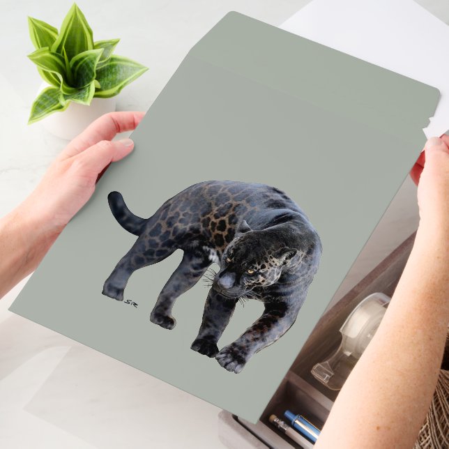 Jaguar Diablo vert med shipping envelope mailers (Desk)