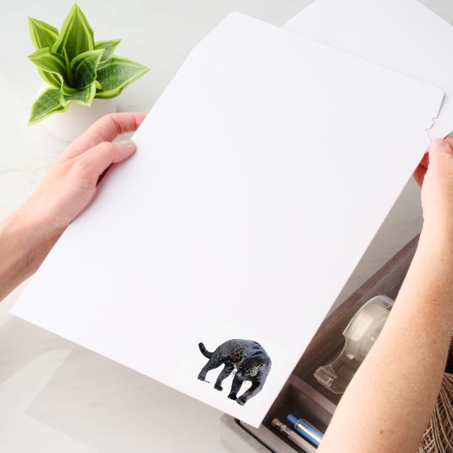Jaguar Diablo vert med shipping envelope mailers (Desk)