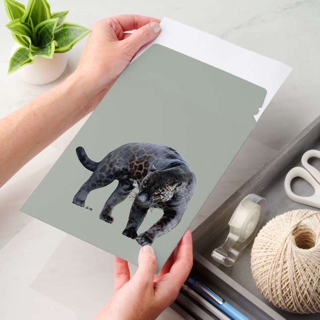 Jaguar Diablo vert sm shipping envelope mailers (Desk)