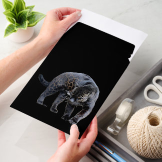 Jaguar Diablo vert sm shipping envelope mailers