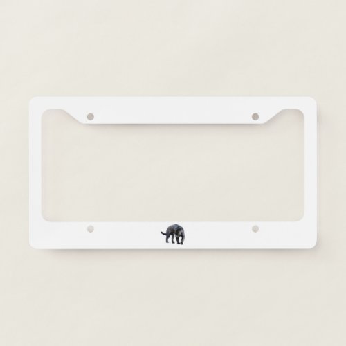 Jaguar Diablo white car license plate frame