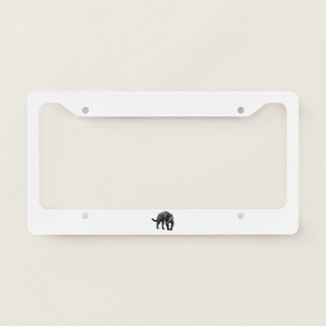 Jaguar Diablo white car license plate frame (Front)