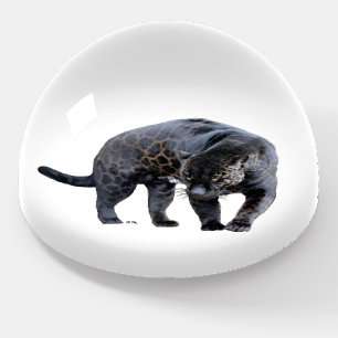 Jaguar Diablo white glass dome paperweight