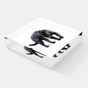 Jaguar Diablo white glass square paperweight