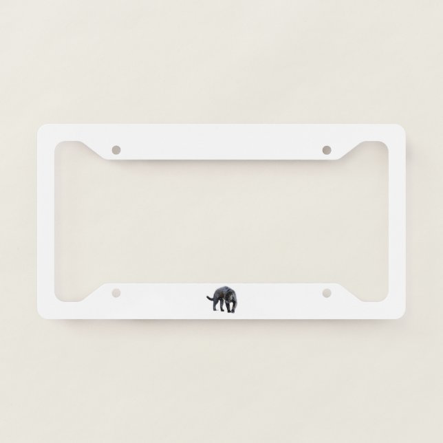Jaguar Diablo white license plate frame (Front)