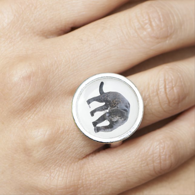 Jaguar Diablo white sterling silver ring (In Situ)