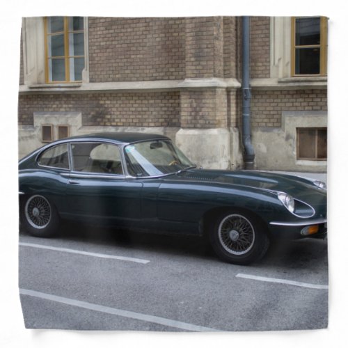 Jaguar E_Type Hardtop Bandana