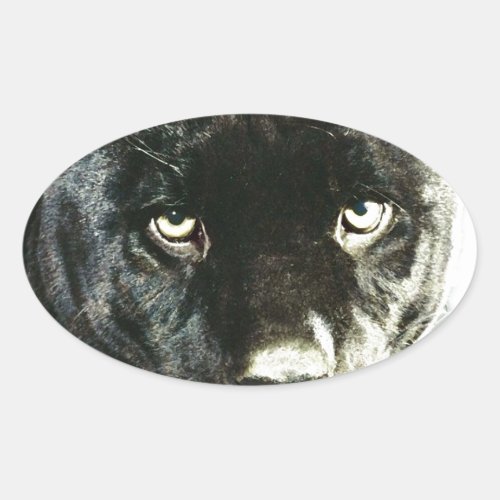 Jaguar Eyes Oval Sticker