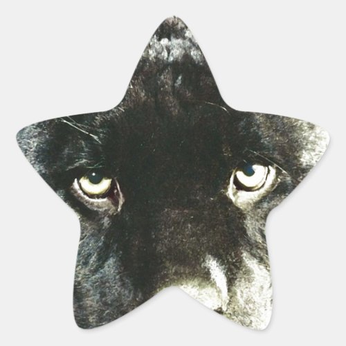 Jaguar Eyes Star Sticker