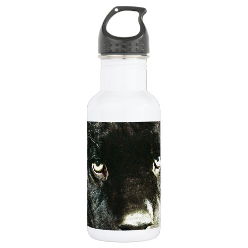 Jaguar Eyes Water Bottle