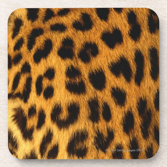 Jaguar Fur Beverage Coaster (Front)