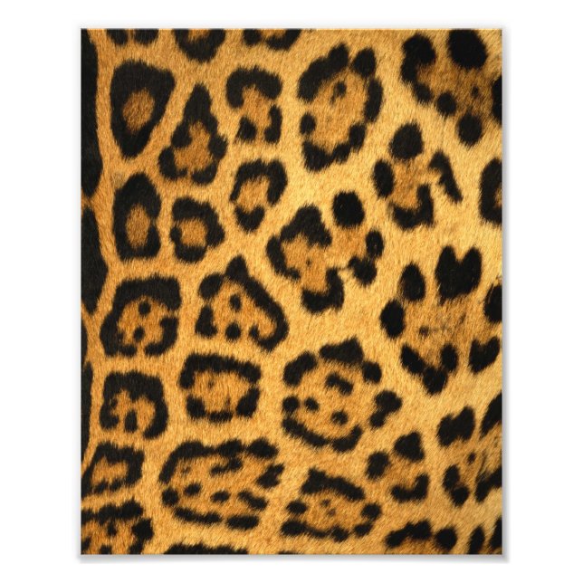 Jaguar Fur Print (Front)