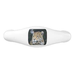 Jaguar Glare Ceramic Drawer Pull