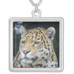 Jaguar Glare Silver Plated Necklace