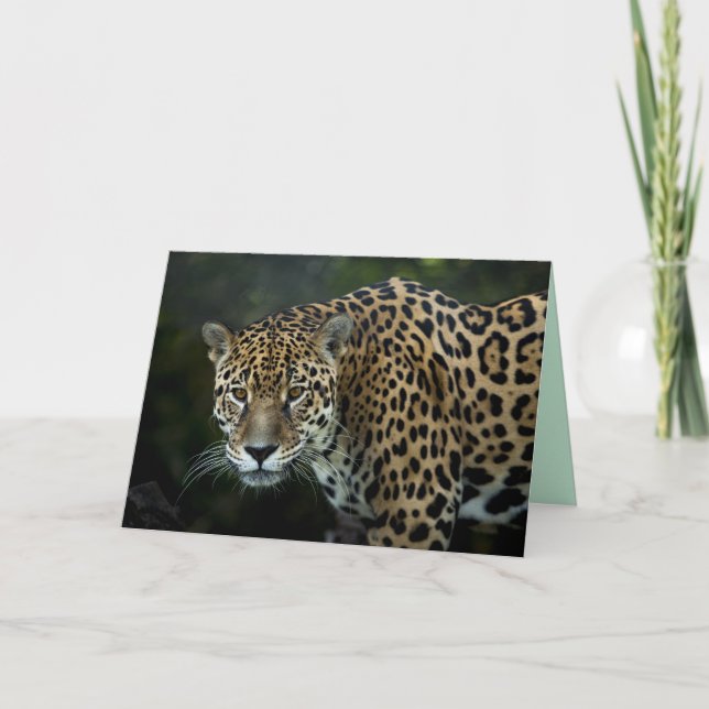 jaguar greeting card (Front)