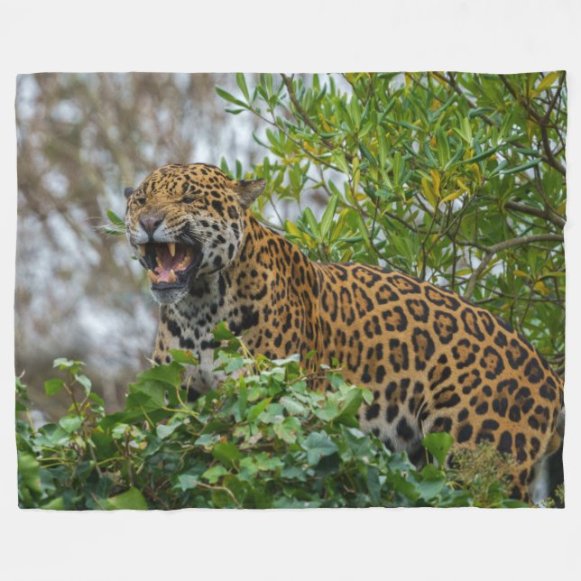 Jaguar Growl Fleece Blanket (Front (Horizontal))