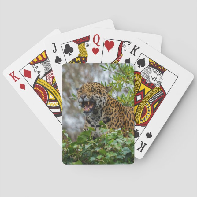 Jaguar Growl Poker Cards (Back)