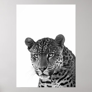 Jaguar Jungle Modern Portrait black white   Poster