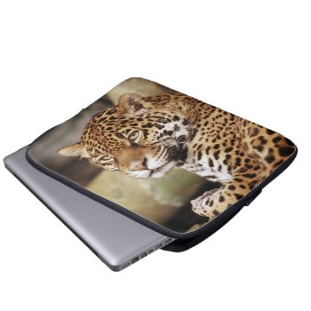 Jaguar Laptop Sleeve by lynnsphotos at Zazzle