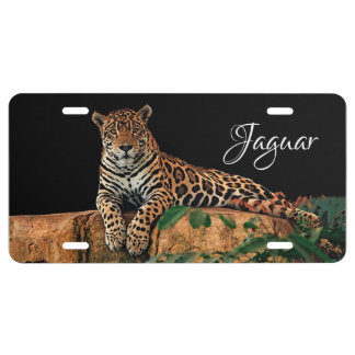 Jaguar License Plate