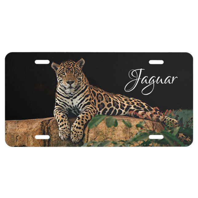 Jaguar License Plate (Front)